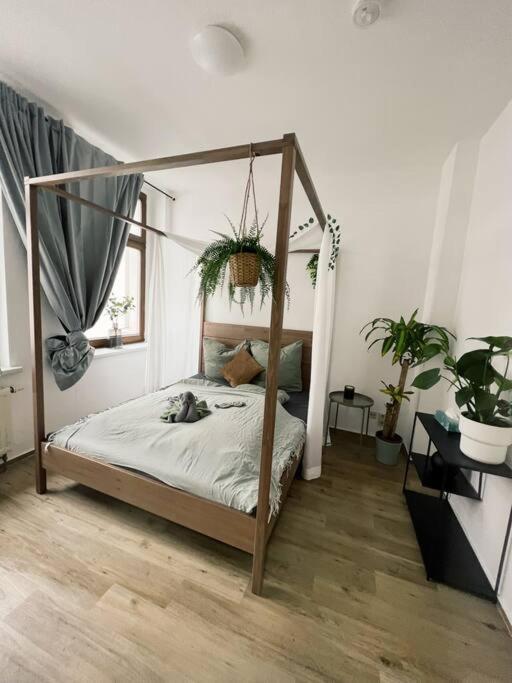 Pretty Home City Jungle ซวิคเคา ภายนอก รูปภาพ