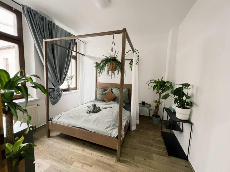Pretty Home City Jungle ซวิคเคา ภายนอก รูปภาพ