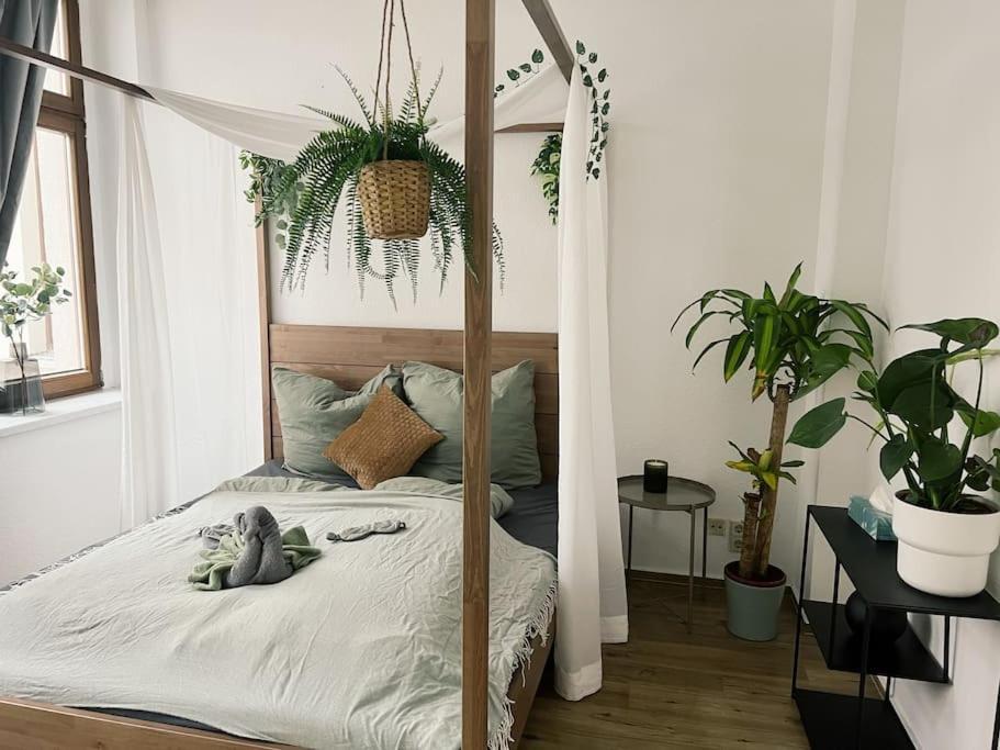 Pretty Home City Jungle ซวิคเคา ภายนอก รูปภาพ